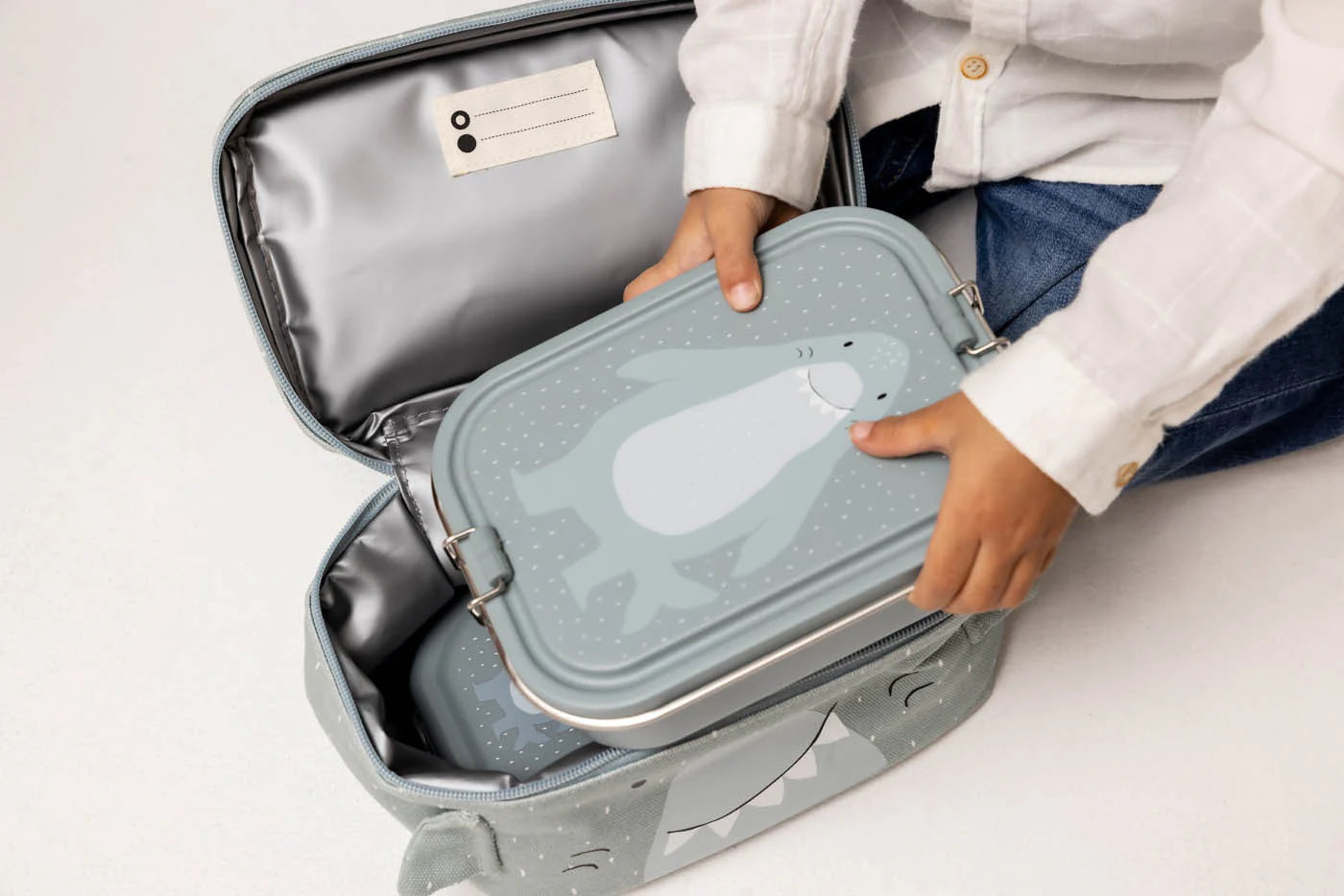 Lunch box large - Mr. Shark