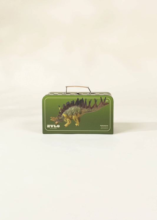 Kentrosaurus Dinosaur in a Collectible Box