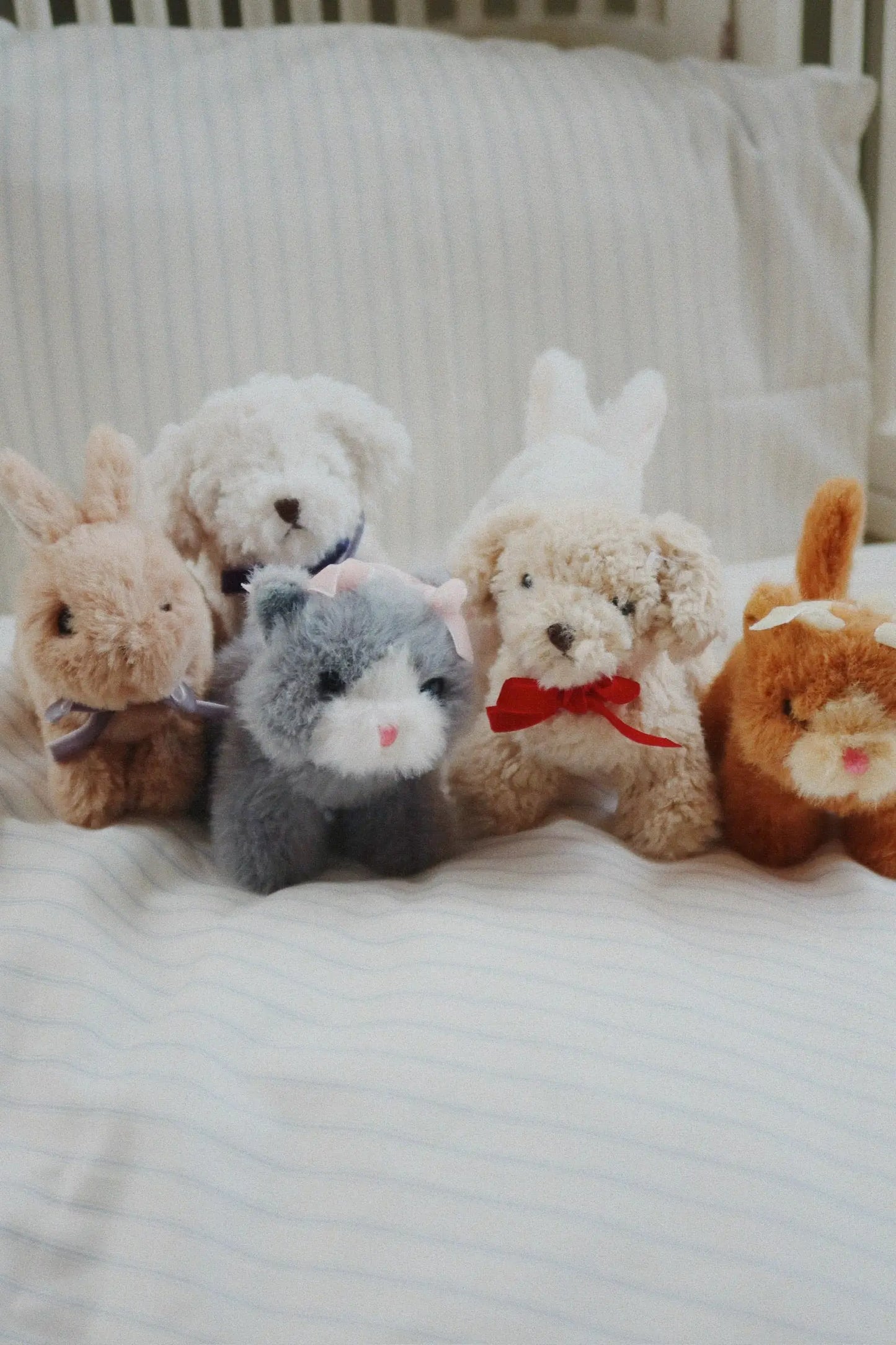 Baby Animal Konges Slojd