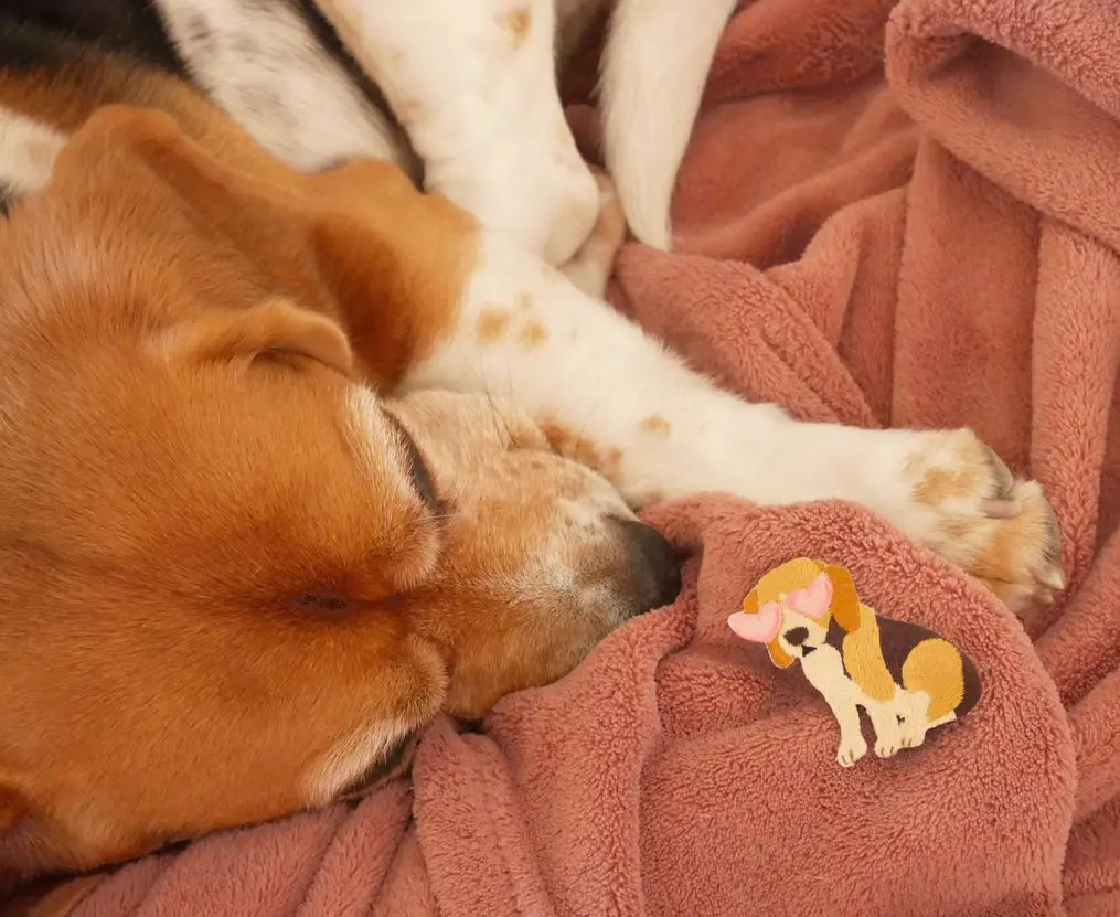 Beagle Iron-On Patch MALICIEUSE