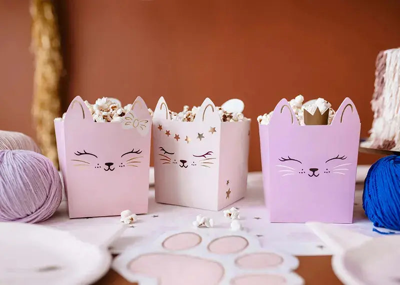 Cat Snack Boxes Partydeco