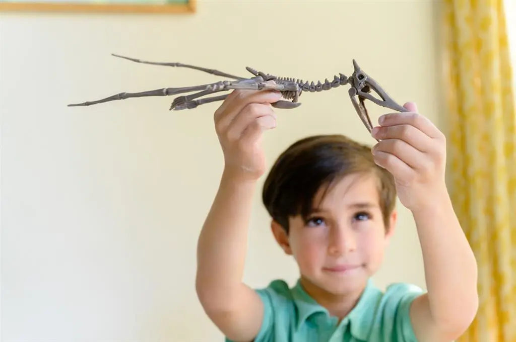 Dig-A-Dino Skeleton - Pteranodon Dam