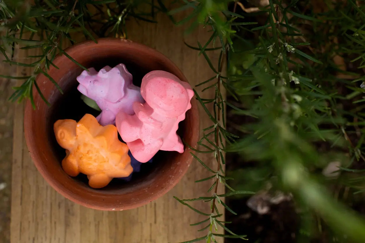 Dinosaur Pavement Chalks Crayon Box Crayons