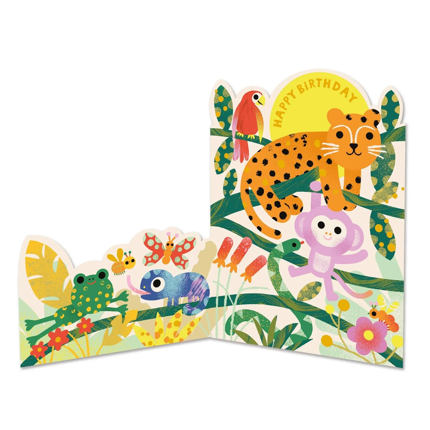 Happy Birthday - Have a wild day (FAN20) Raspberry Blossom