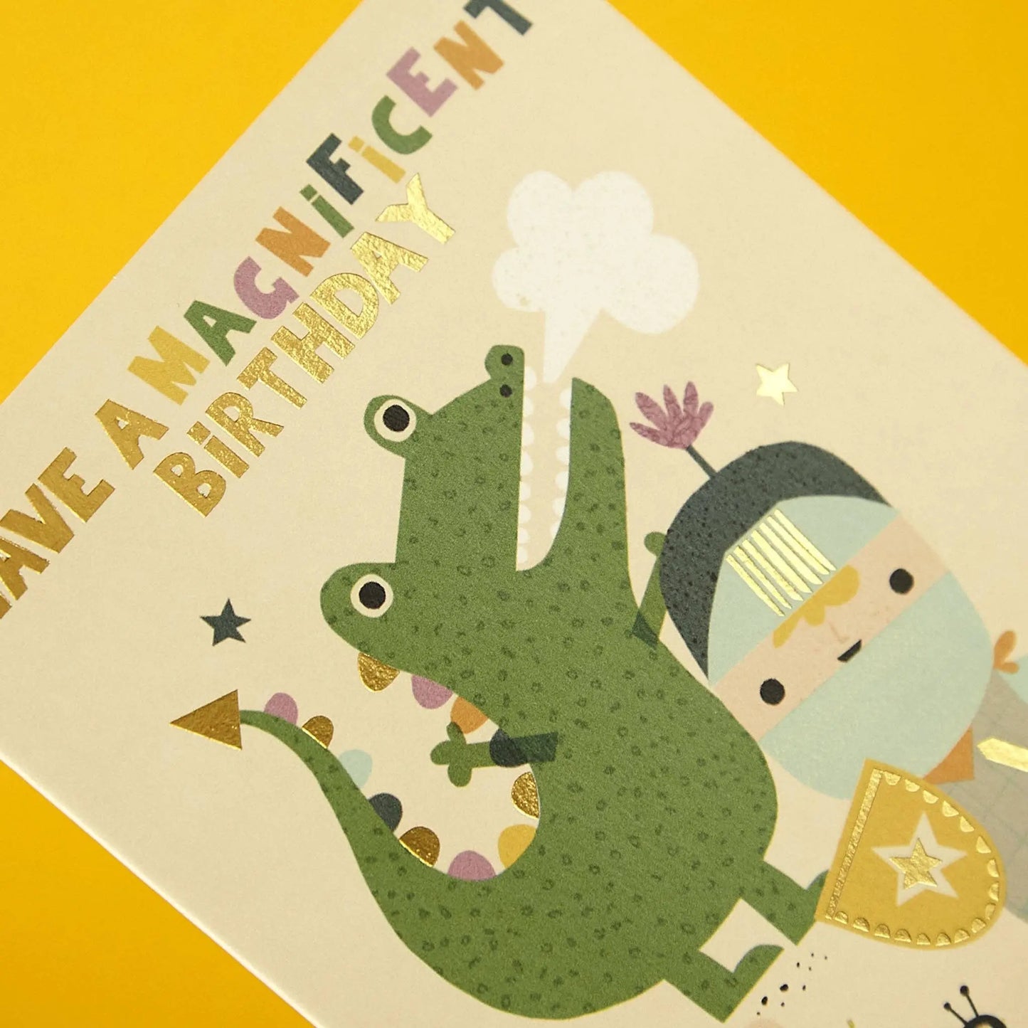 Knight and Dragon Birthday Card Raspberry Blossom