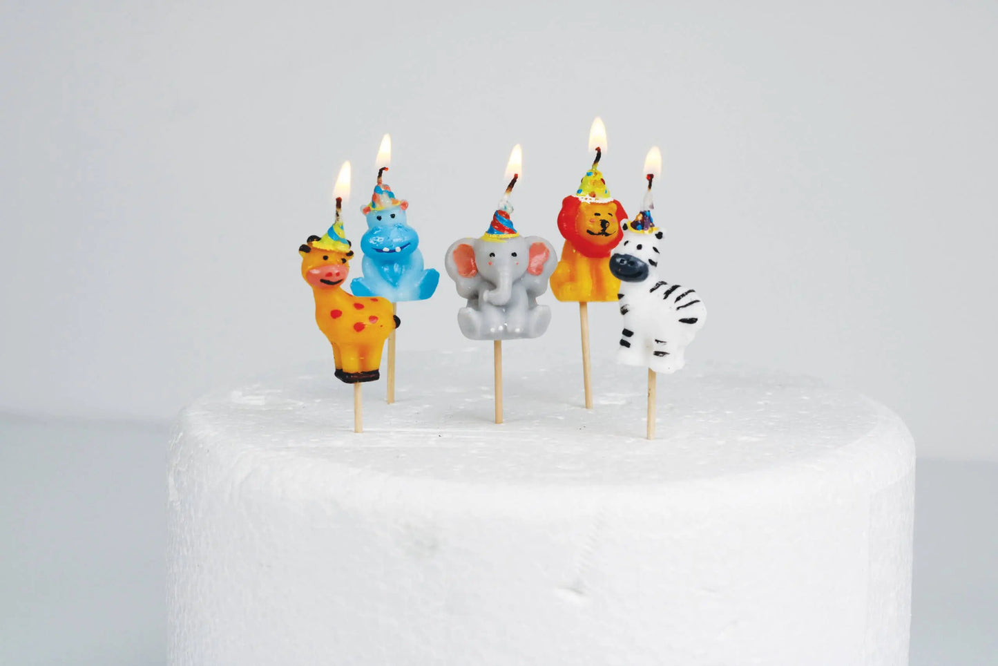 Party Hat Safari Cake Candles Smiling Faces