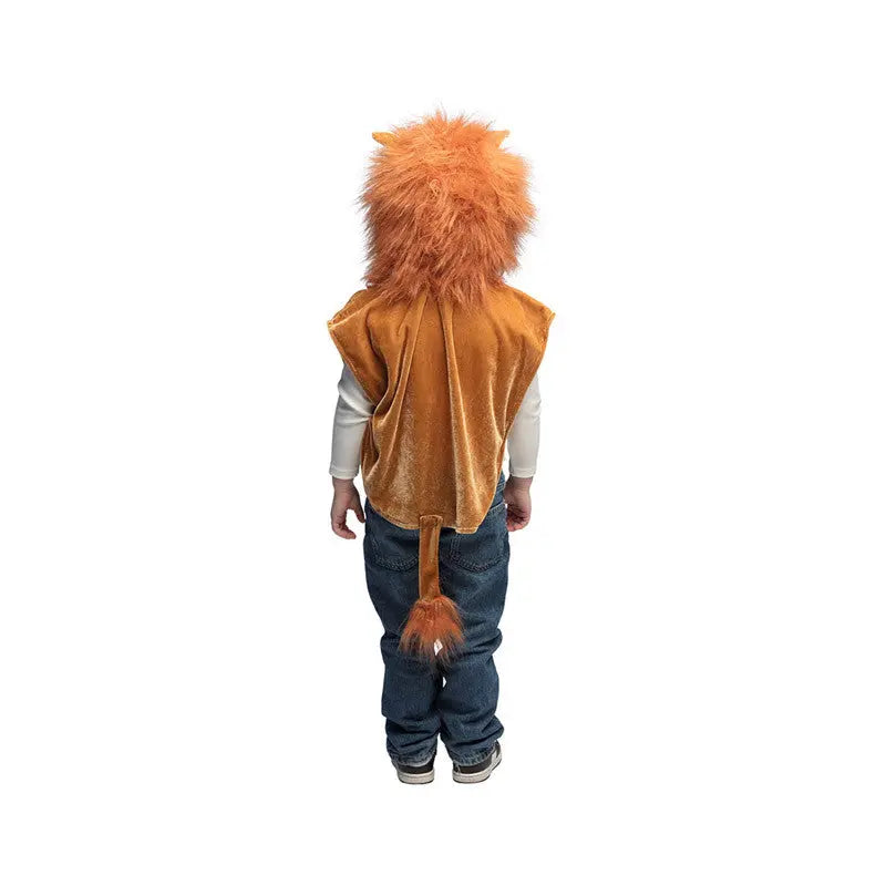 Poncho Lion Costume 3-4 years Boland