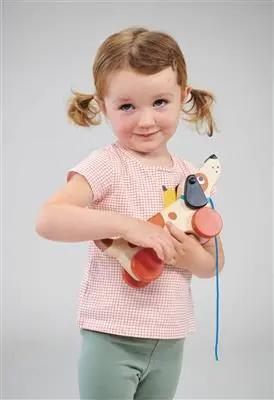 Puppy on the wheels mentari