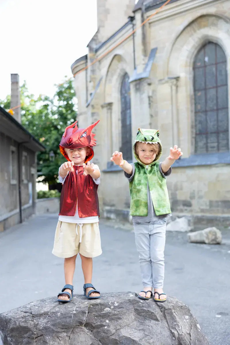 The all Day Everyday Dragon Vest Great Pretenders
