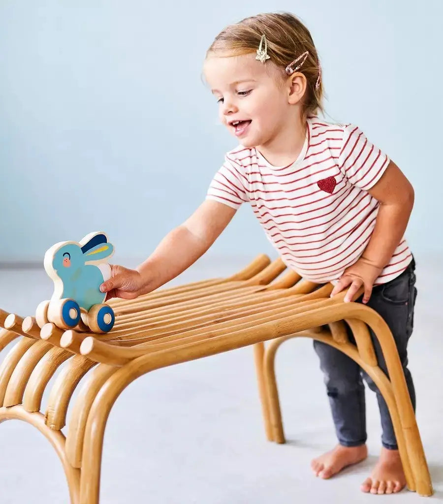 Wooden push toy blue rabbit Petit Monkey