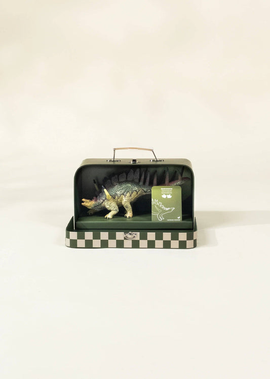 Kentrosaurus Dinosaur in a Collectible Box
