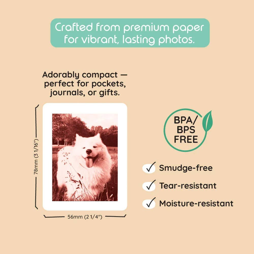 kiimento (formerly Kidamento) - Model P2 Print Pack|40 Prints