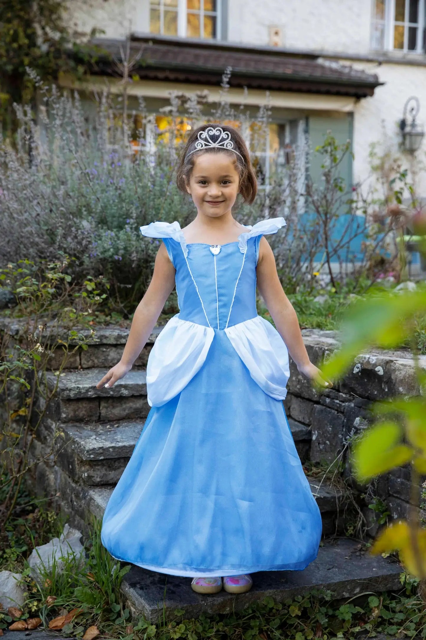 BOUTIQUE CINDERELLA GOWN Great Pretenders