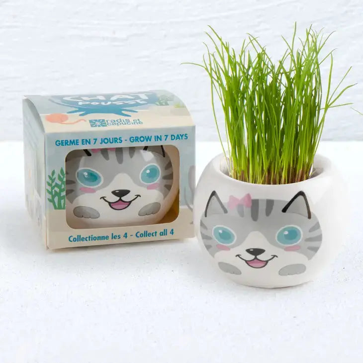 Cat displays - 24 units Radis et Capucine