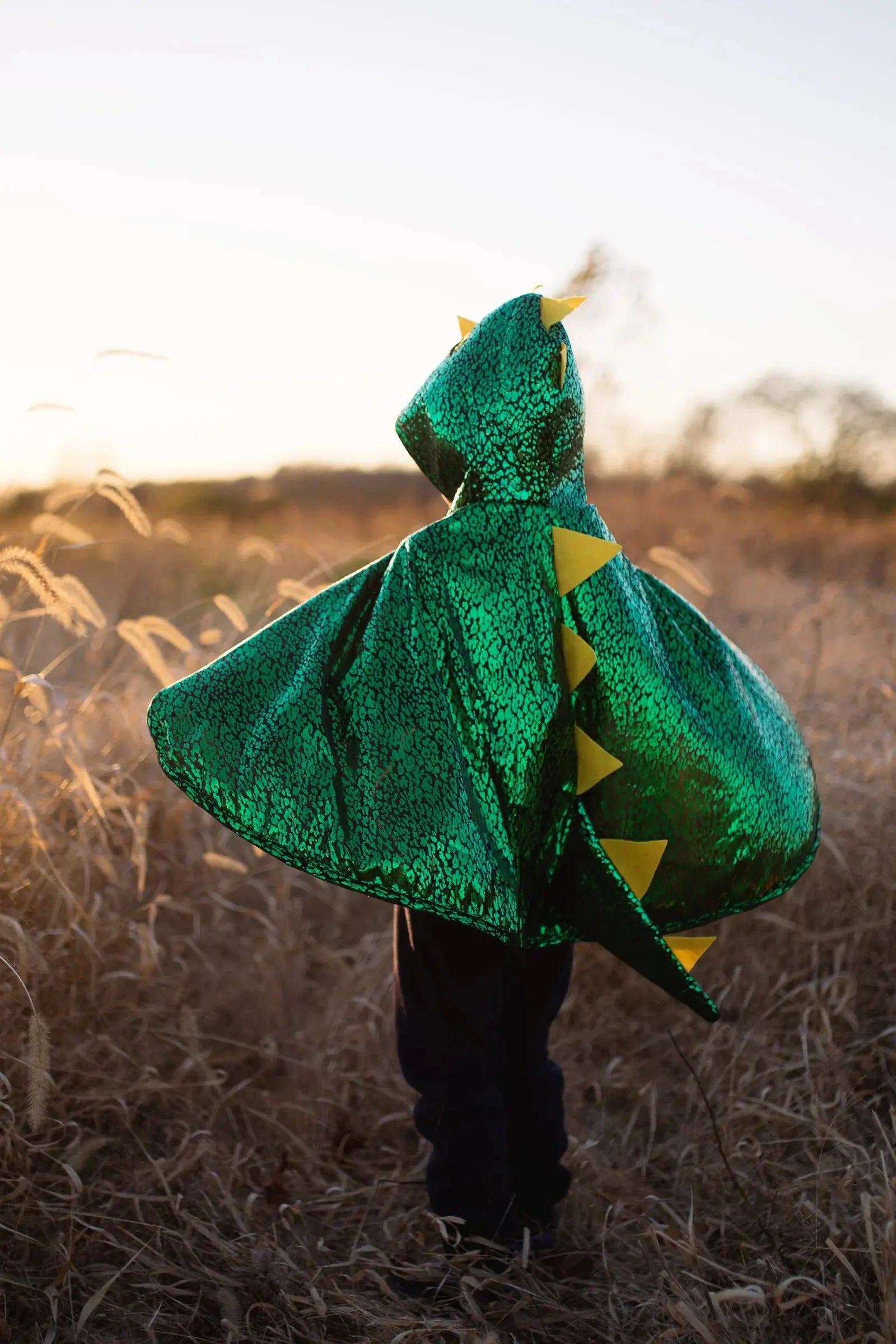 Dragon Toddler Cape, Green Metallic 2 - 3 T - The Party Boutique Dragon Toddler Cape, Green Metallic 2 - 3 T - The Party Boutique