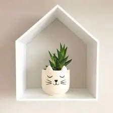 Mini Cat's Whiskers Planter SASS AND BELLE