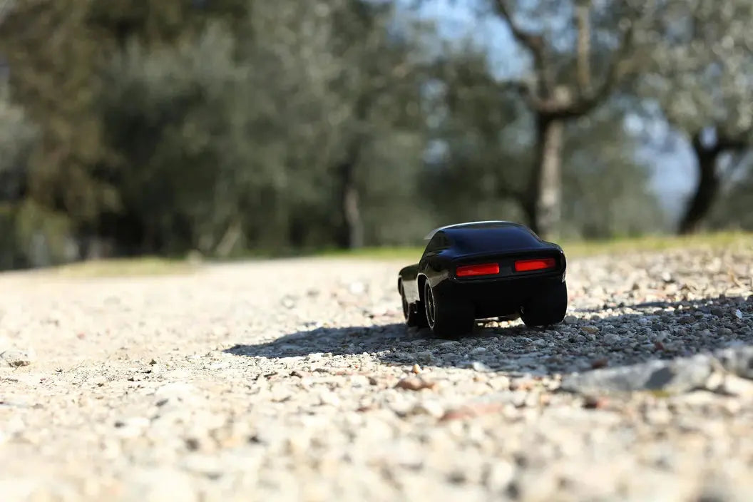 PL VF503 Leadbelly Skeeter Playforever