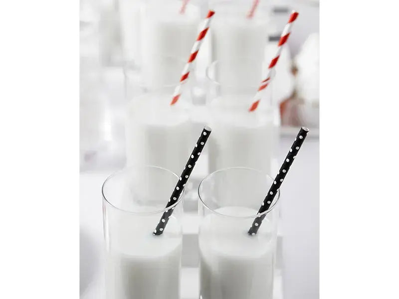 Paper Straws Black White Dots Partydeco