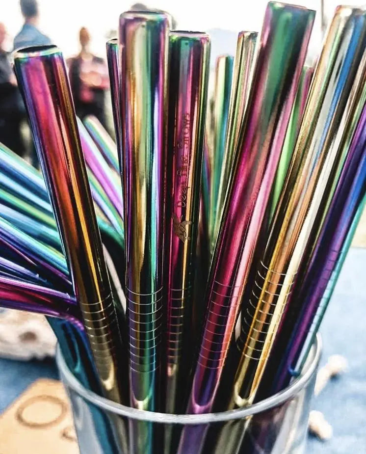 Rainbow Stainless Steel Straw Ginger Ray