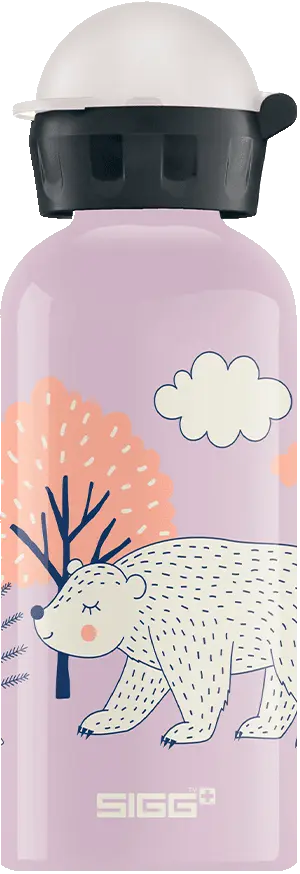 Water bottle Pink Sigg