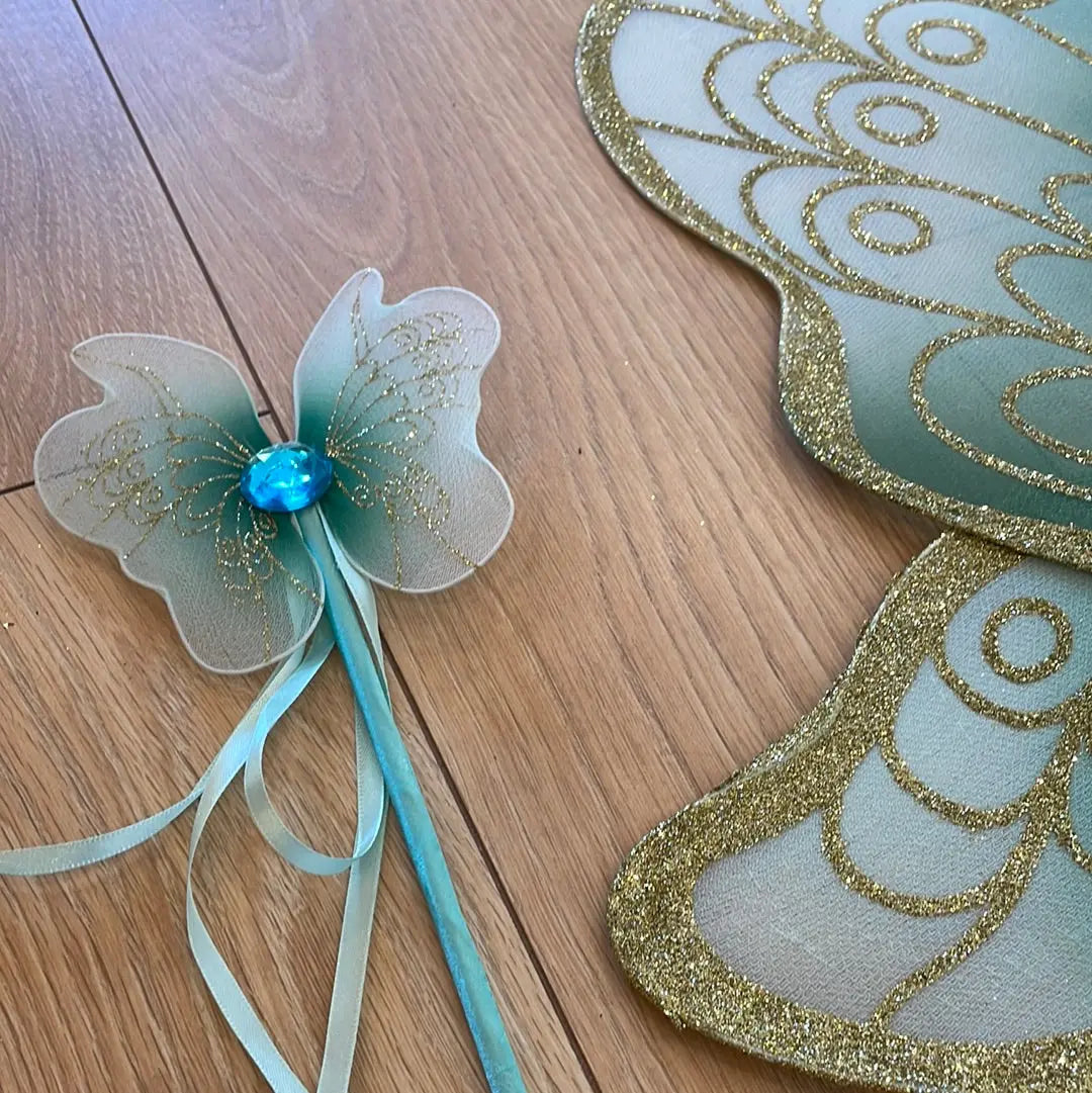 Wings and wand mint thepartyville