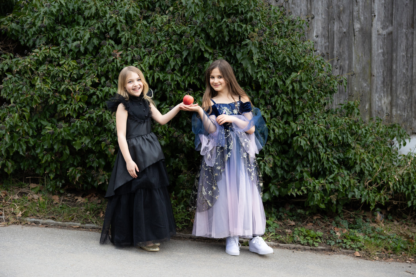 Gothic Witch Dress Costume
