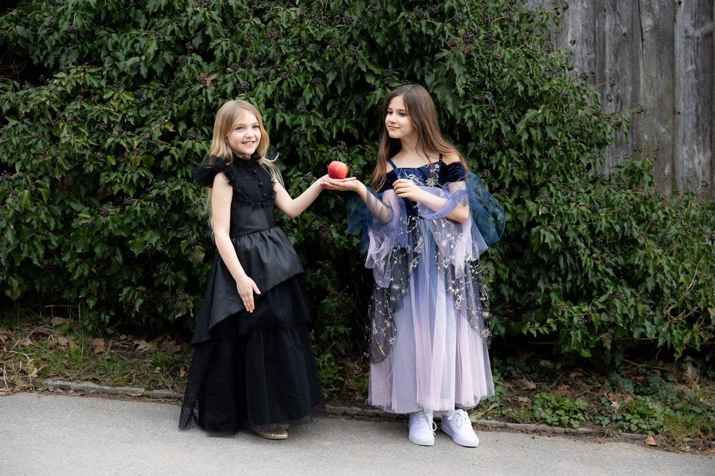 Enchantress Fairy Dress