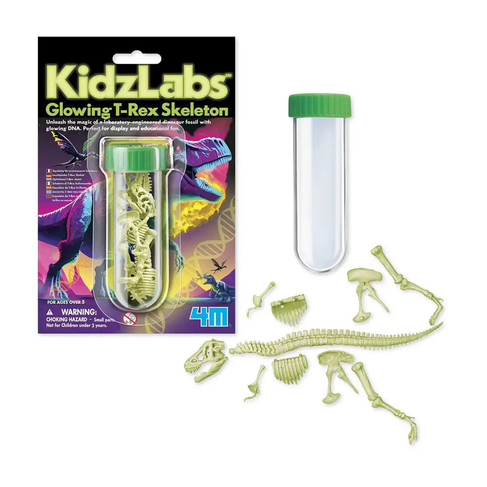 4M - KIDZLABS - GLOWING T-REX SKELETON Dam