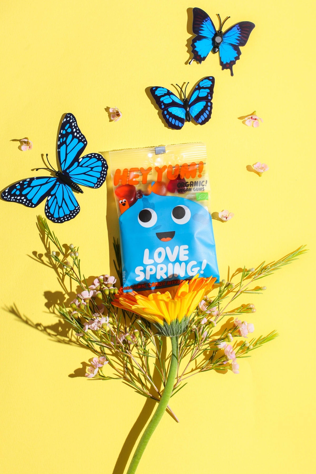 HEY YUM! - HEY YUM! Love Spring, Vegan Organic Fruit Gums,100g