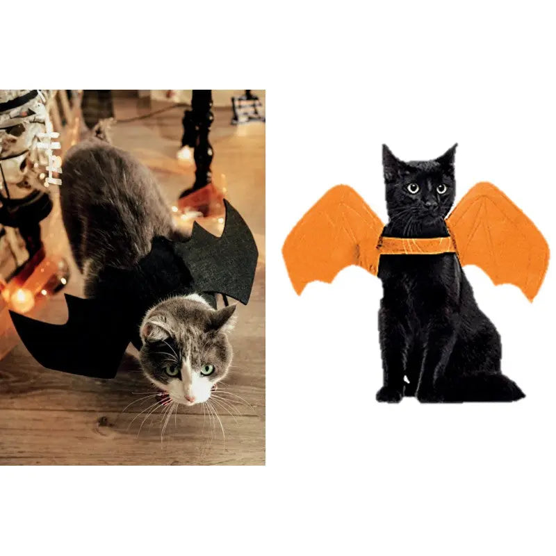 Bat wing for cat or small dog - Sell by unit Cotillons D Alsace