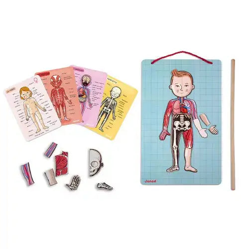 Bodymagnet in 12 Languages Janod