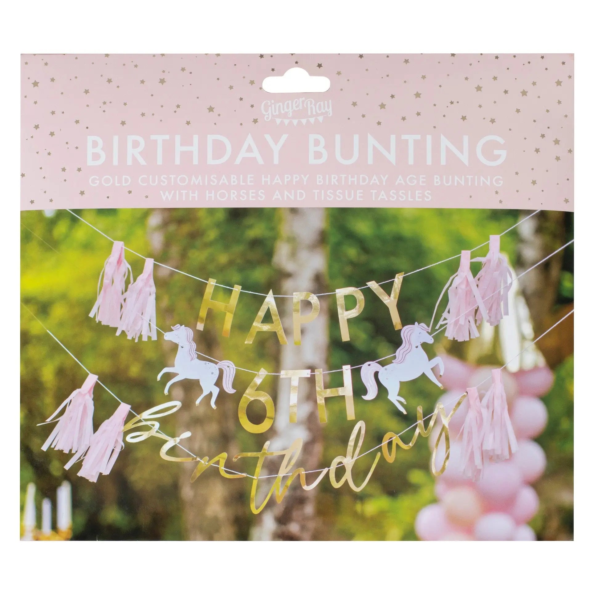 Customisable Princess Happy Birthday Party Bunting Ginger Ray