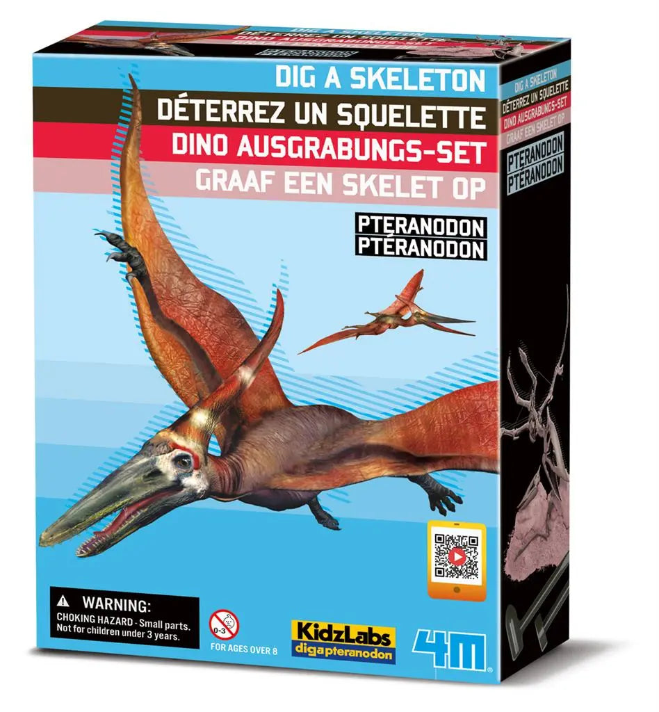 Dig-A-Dino Skeleton - Pteranodon Dam