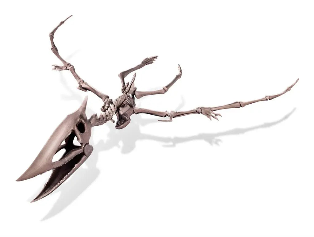 Dig-A-Dino Skeleton - Pteranodon Dam