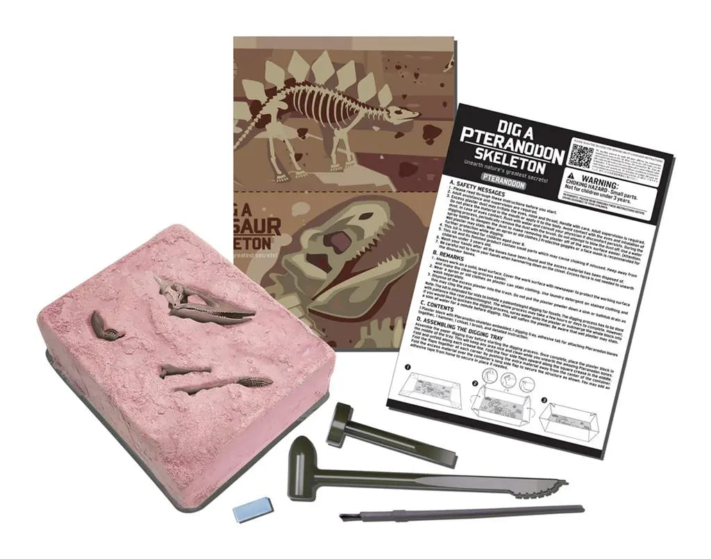 Dig-A-Dino Skeleton - Pteranodon Dam