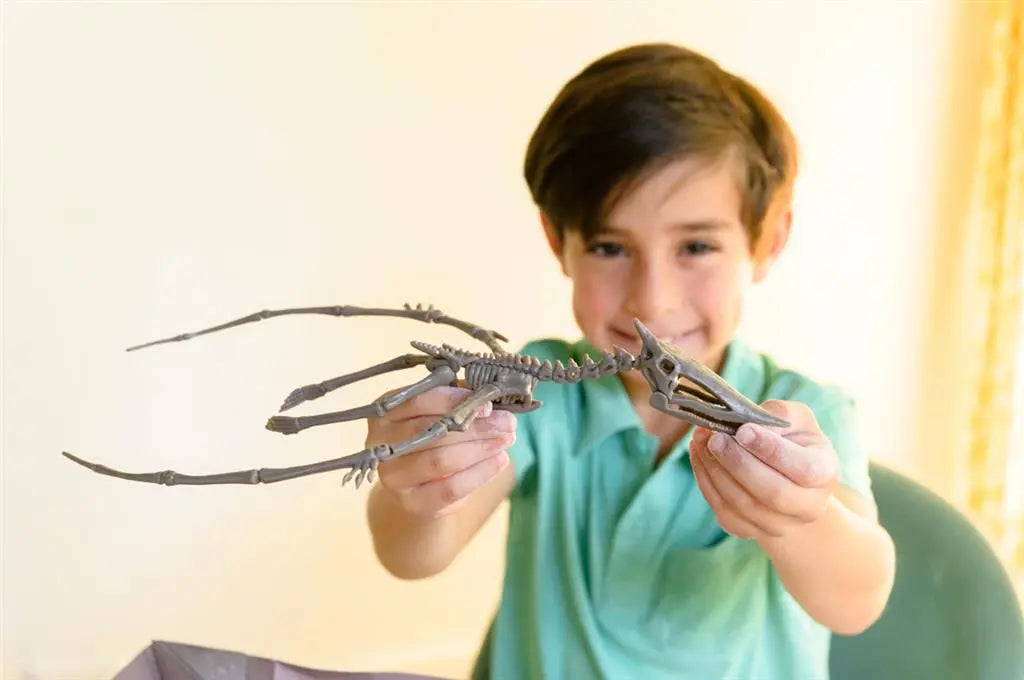 Dig-A-Dino Skeleton - Pteranodon Dam