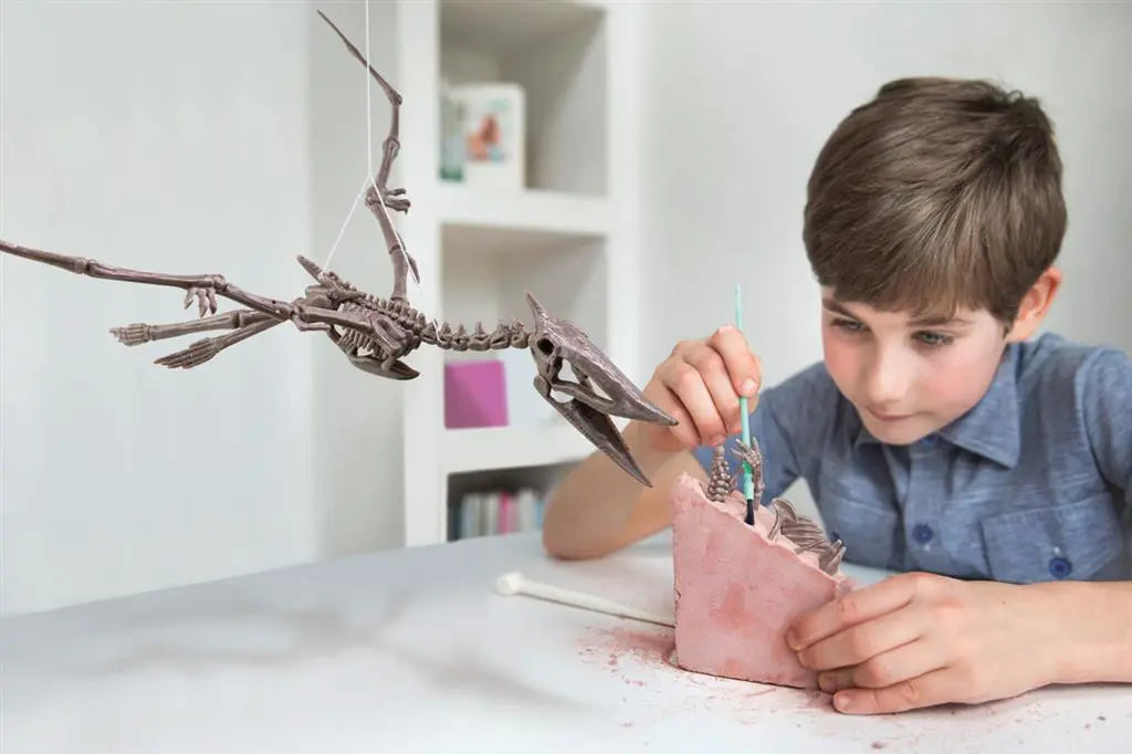 Dig-A-Dino Skeleton - Pteranodon Dam