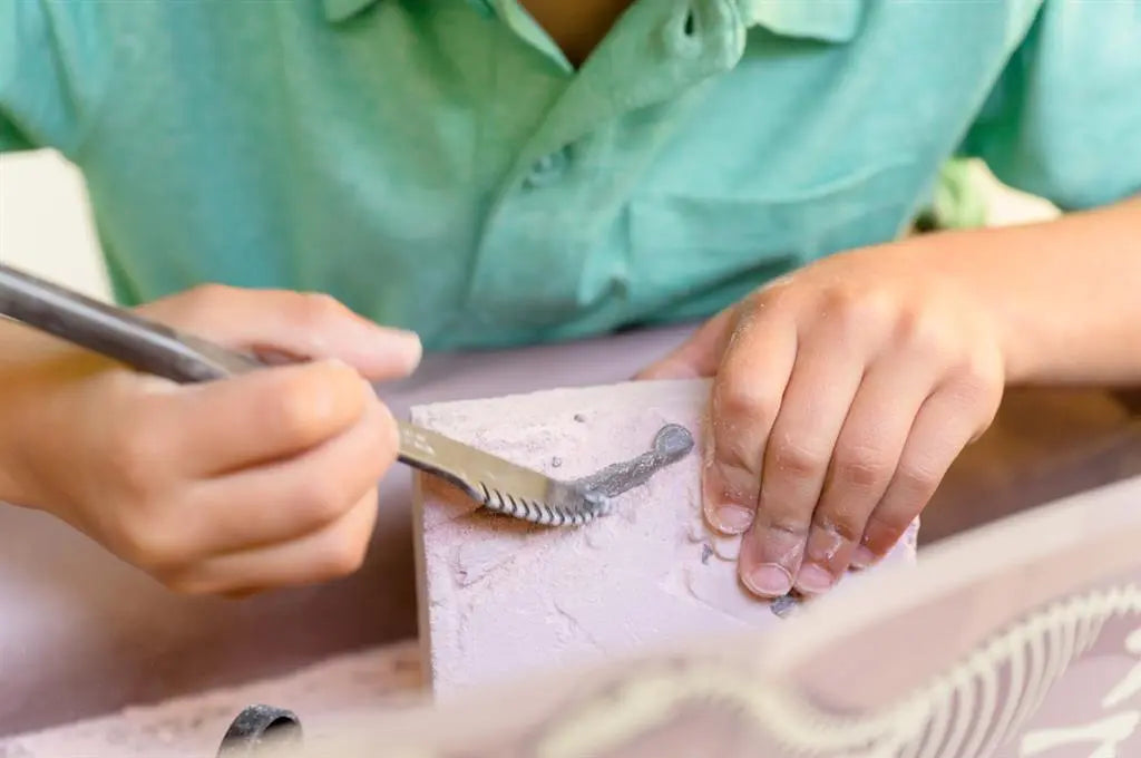 Dig-A-Dino Skeleton - Pteranodon Dam