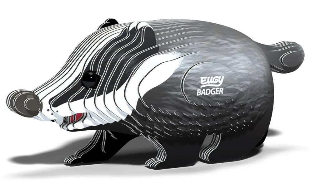 EUGY 3D - BADGER Dam