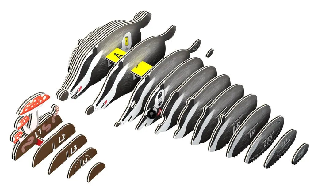 EUGY 3D - BADGER Dam