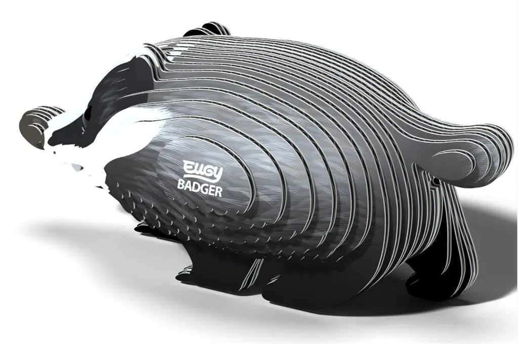 EUGY 3D - BADGER Dam