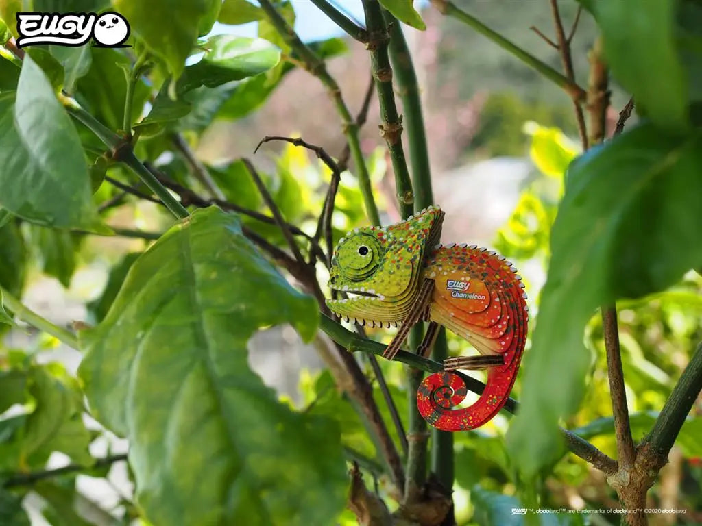 EUGY 3D - CHAMELEON Dam