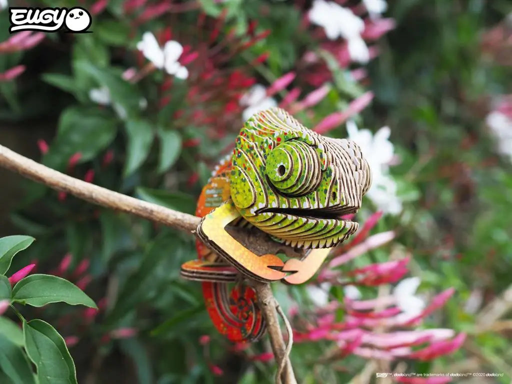 EUGY 3D - CHAMELEON Dam