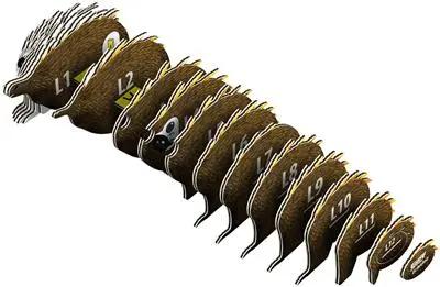 EUGY 3D - Echidna Eugy