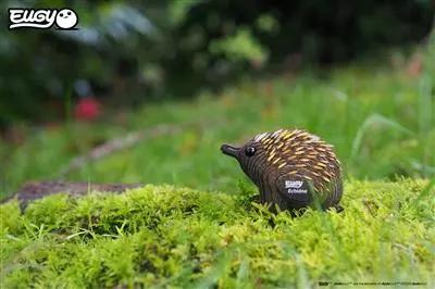 EUGY 3D - Echidna Eugy