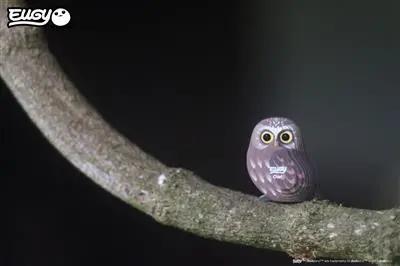 EUGY 3D - Owl Eugy