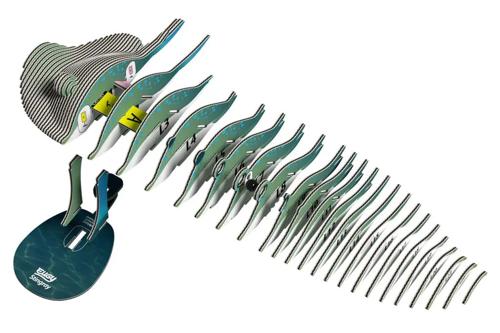 EUGY 3D - STINGRAY Dam