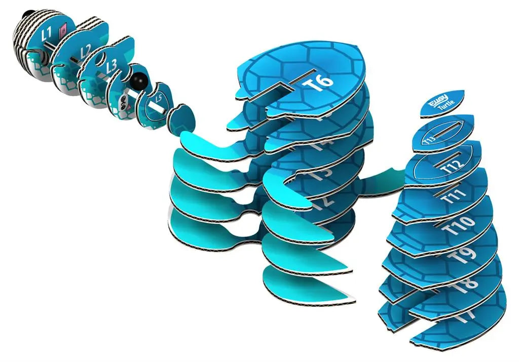 EUGY 3D - TURTLE Dam