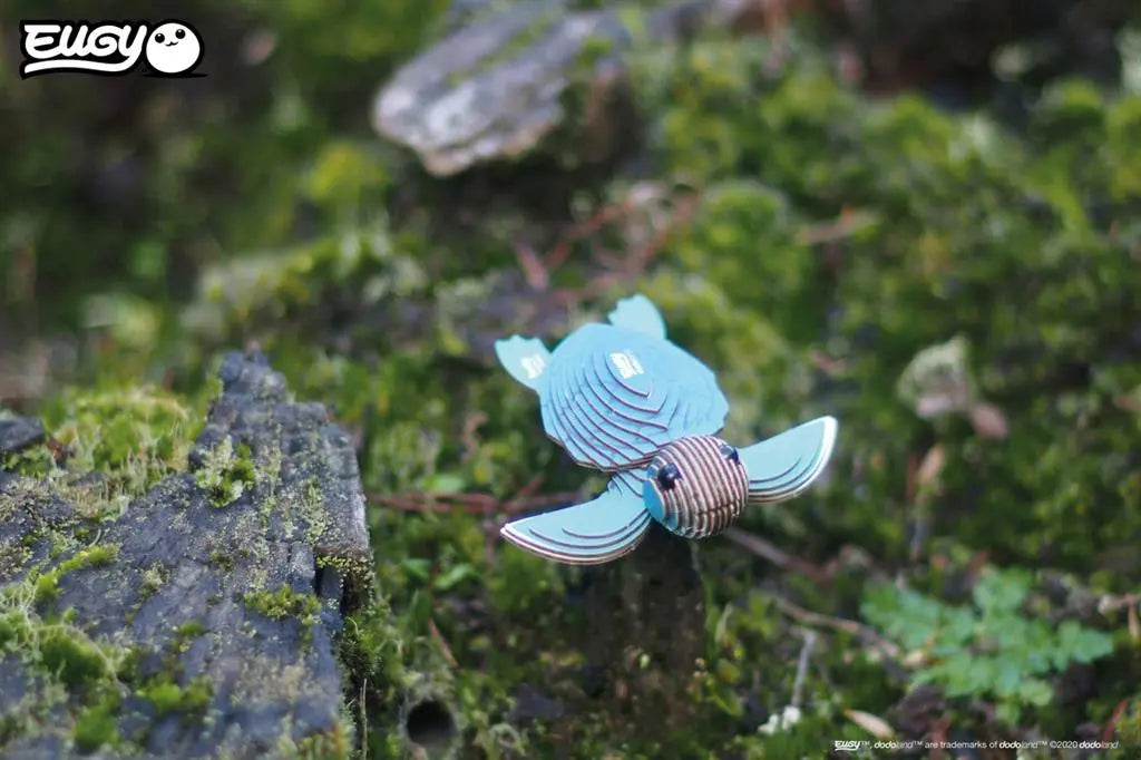 EUGY 3D - TURTLE Dam