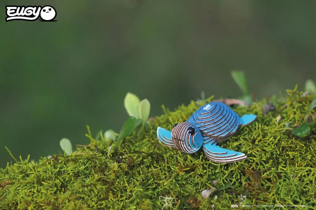 EUGY 3D - TURTLE Dam